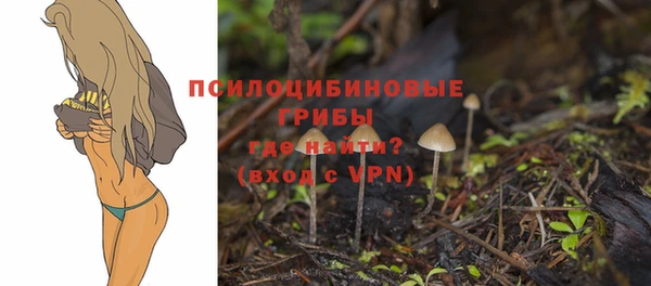 тгк Волоколамск